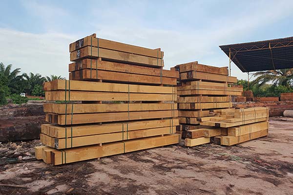 CHENGAL/CENGAL WOOD