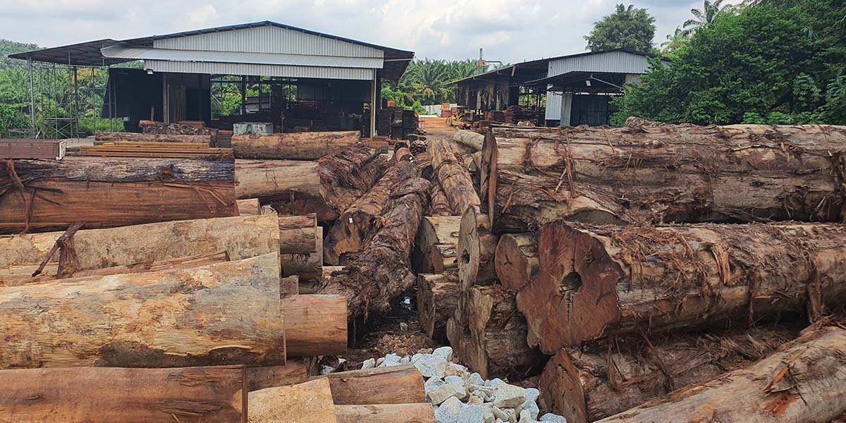 About Kamwo Timber